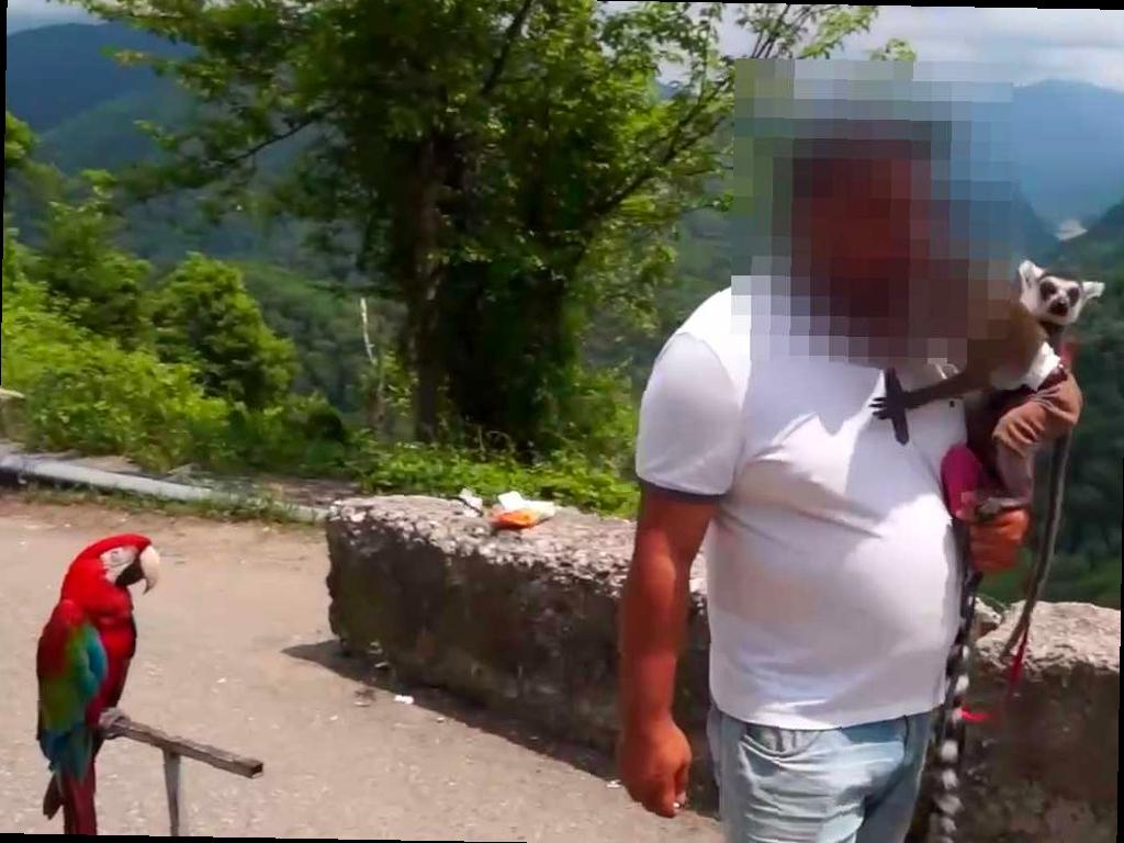 В Сочи у фотографов изъяли целый зоопарк