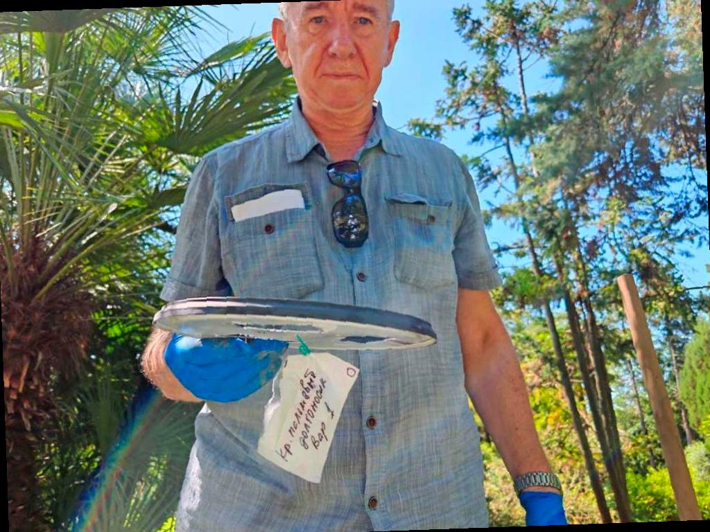 Эксперимент с феромонными ловушками в Сочи