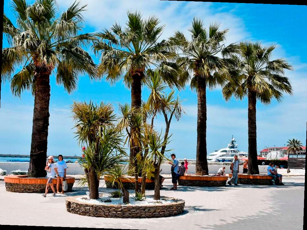 В Сочи ожидается продолжение жары