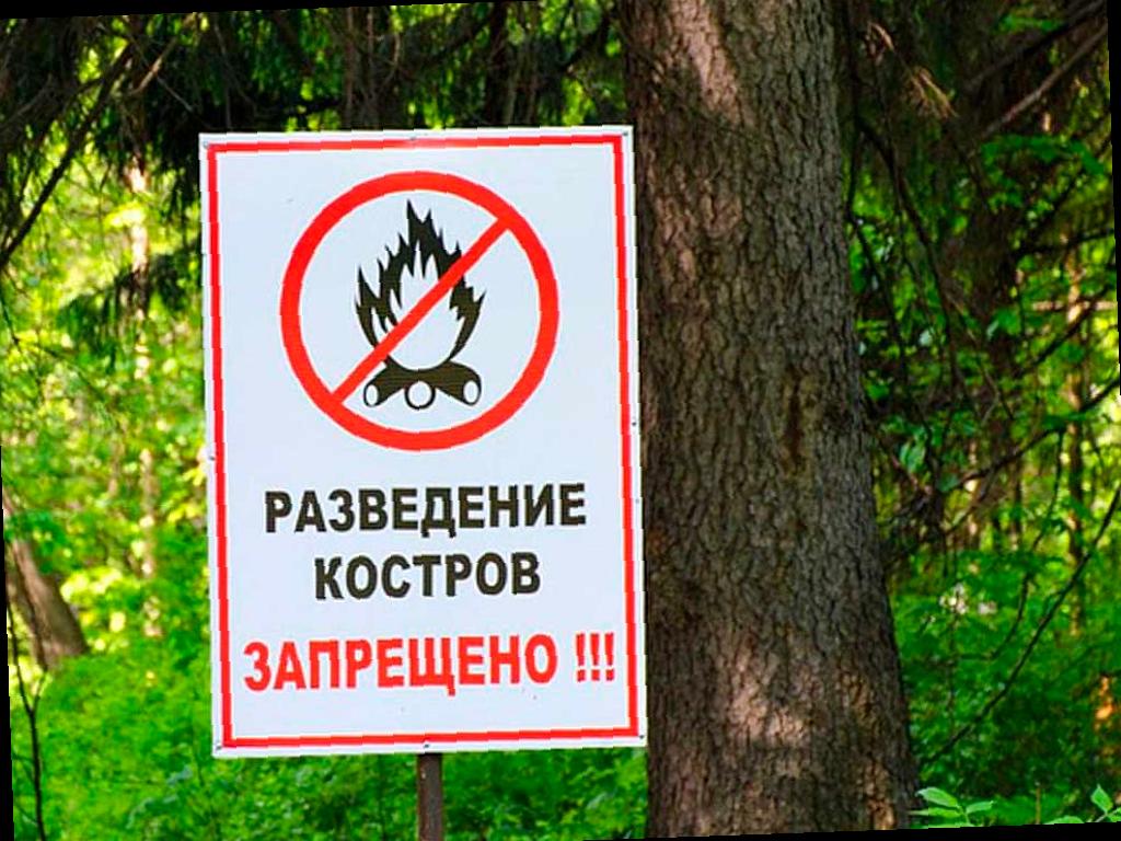 В Сочи объявили пожароопасность 4 класса