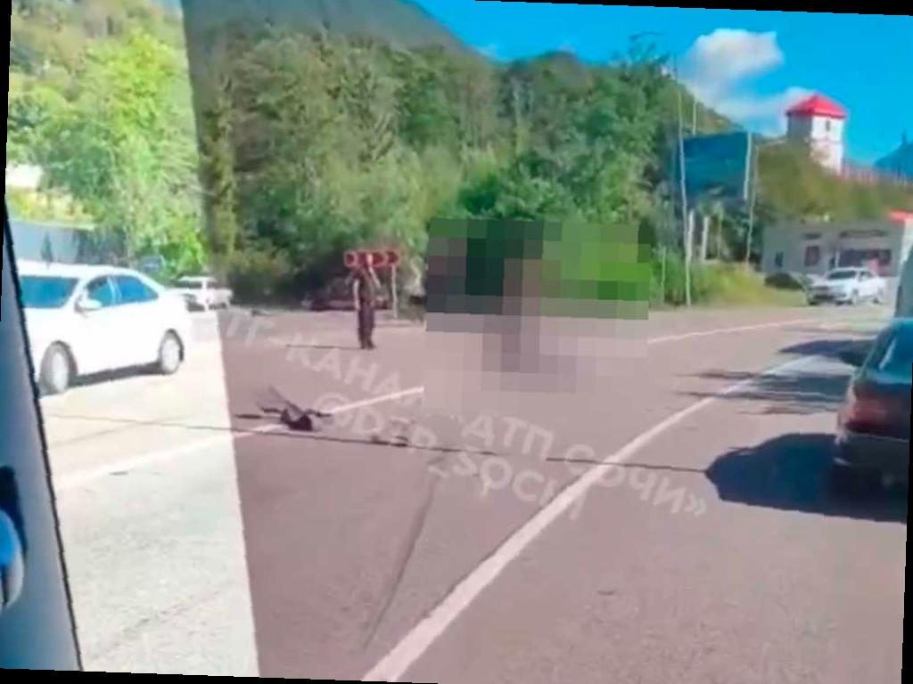 На трассе к Красной Поляне произошло ДТП с участием мотоциклиста