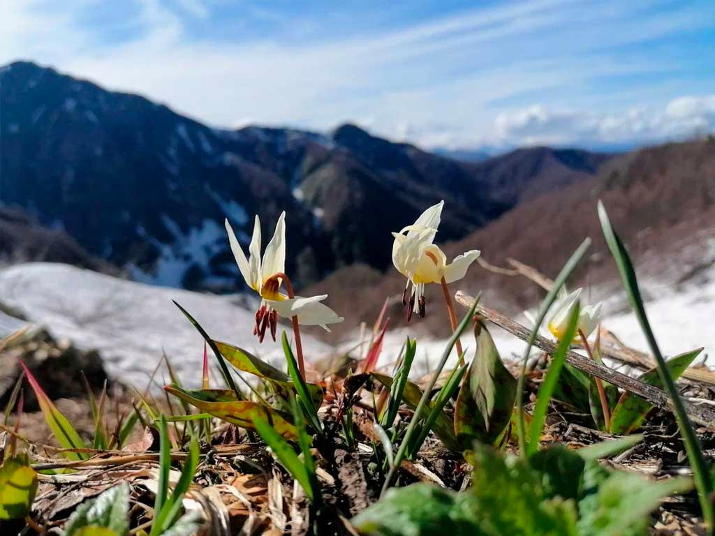 В Сочи откроется фотовыставка победителей конкурса «Четыре сезона красоты»