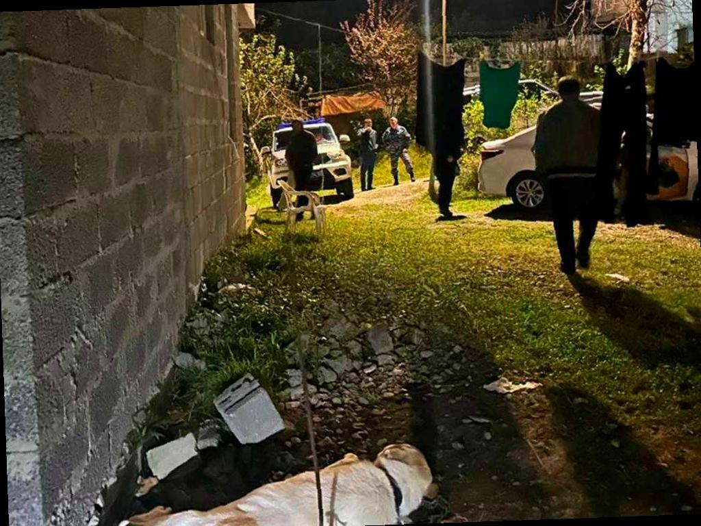 В Сочи алабай нанес укусы двум детям