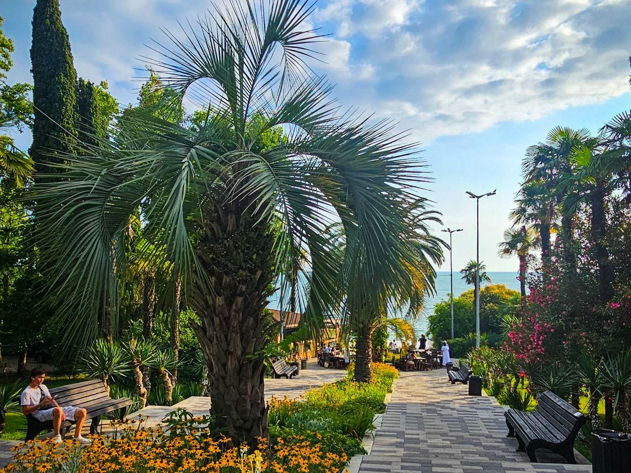 Рост туристов в Сочи: новый рекорд в 2025 году