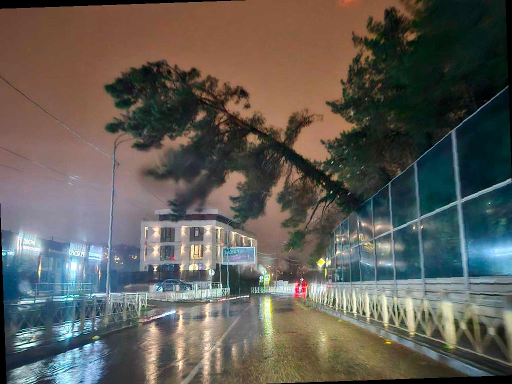 Справляясь с непогодой: убирают упавшие деревья и восстанавливают провода в Сочи