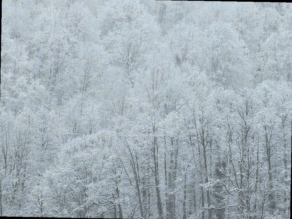 В горах Сочи ожидается сильный снегопад