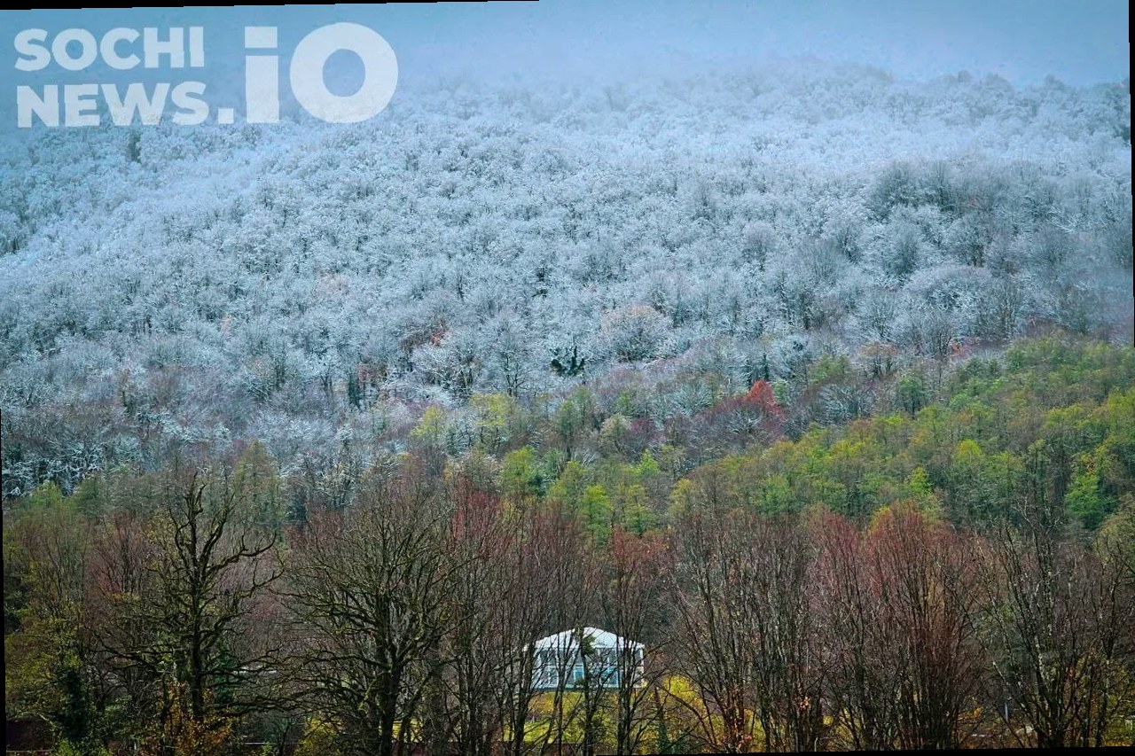 Туман и ливни: в Сочи ухудшится погода, в горах сохраняется лавиноопас