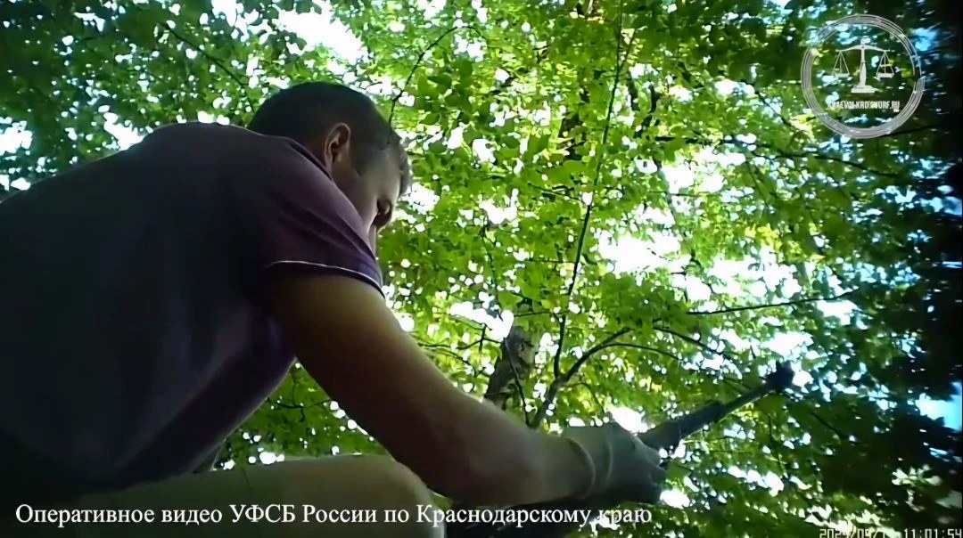 Приговоренный в Сочи мужчина получил 6 лет колонии за сбыт оружия