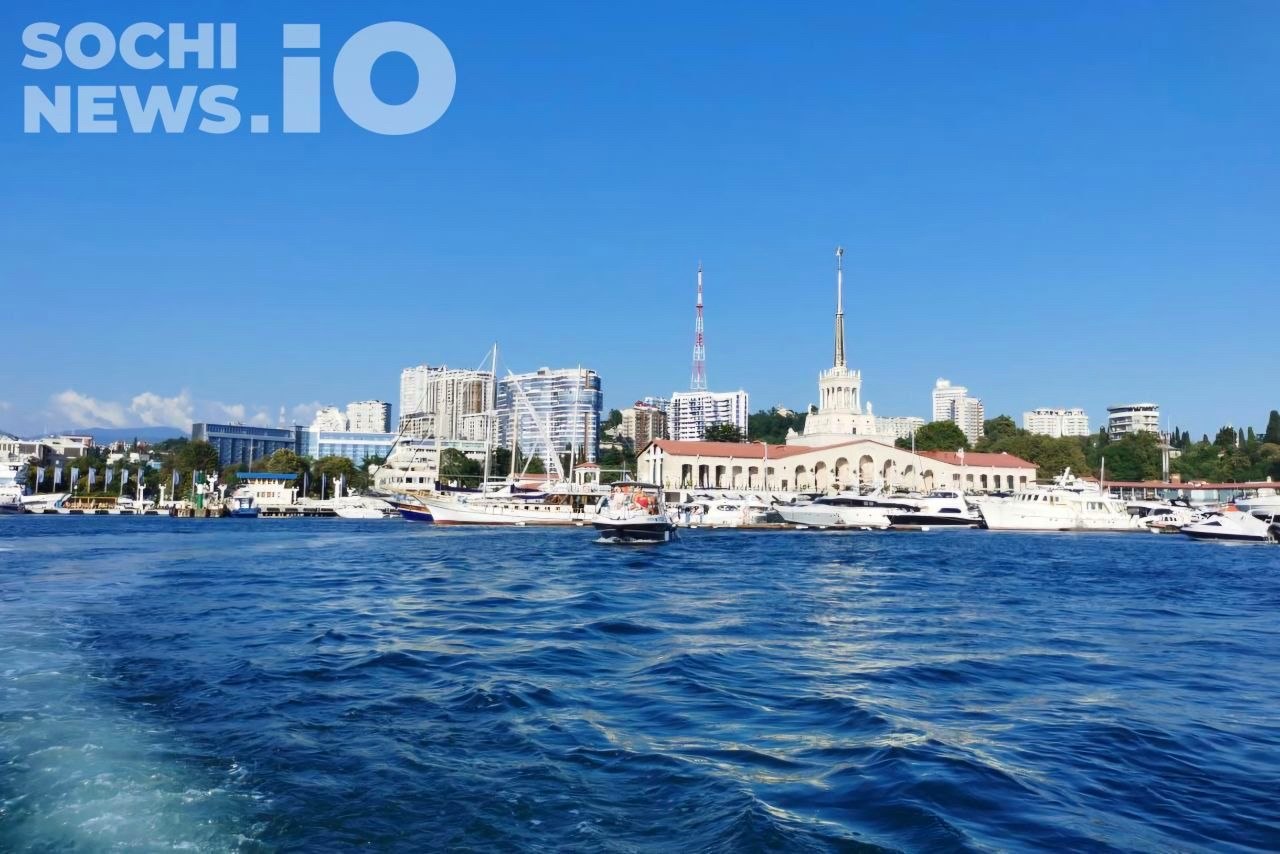 Экологи уверяют, что в Сочи экологическая ситуация стабильна