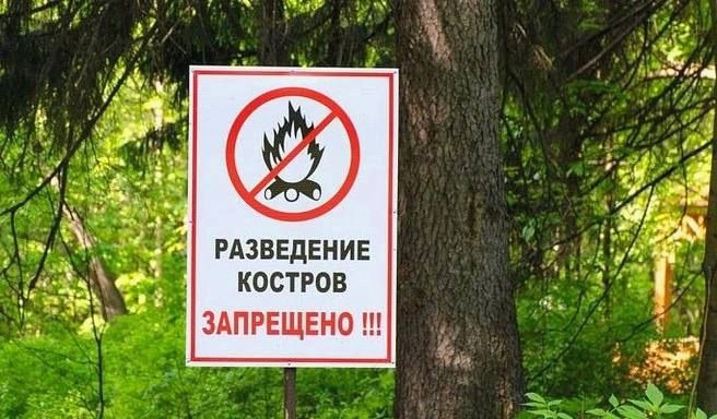 В Сочи введён особый противопожарный режим: запрещено разводить костры и жарить шашлыки
