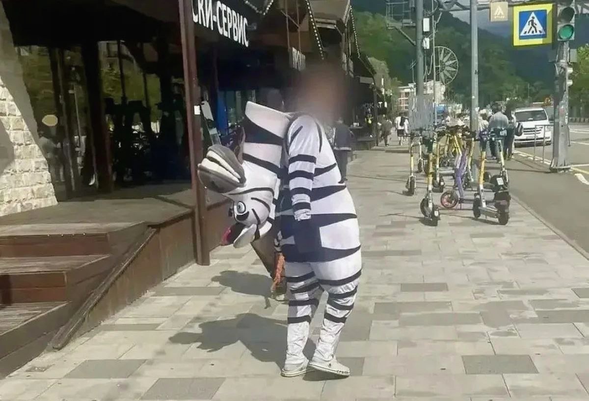Задержаны аниматоры в костюмах мультгероев в Сочи