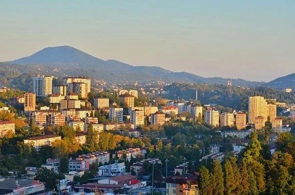 Контроль за несанкционированной торговлей в Сочи принес 23,5 млн рублей
