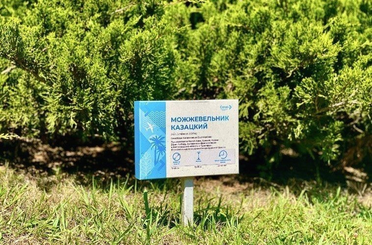 Тропический сад с 325 тысячами растений открыт в аэропорту Сочи